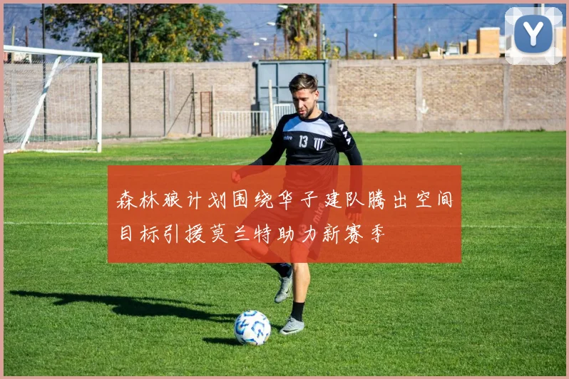 森林狼计划围绕华子建队腾出空间目标引援莫兰特助力新赛季