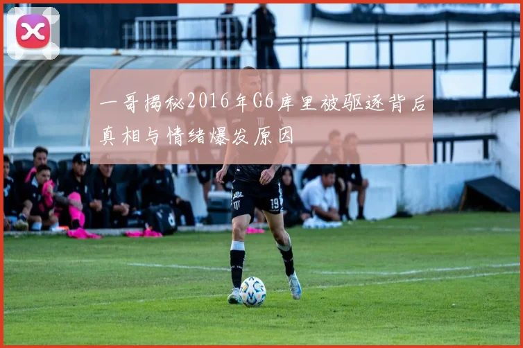 一哥揭秘2016年G6库里被驱逐背后真相与情绪爆发原因